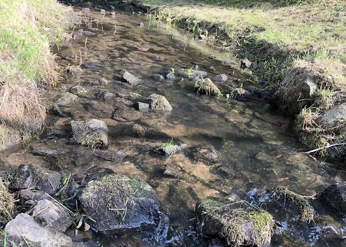 Neu! Am Kummerower 펜션